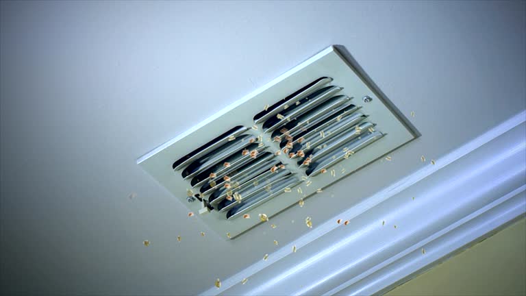Best Ductwork Cleaning Services  in Auburn, NE